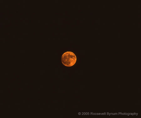 To The Moon Alice