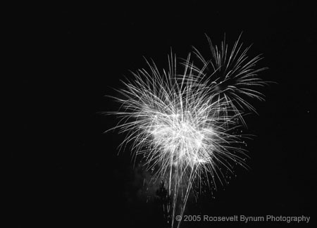 FireWorks BW012