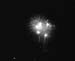 FireWorks BW009